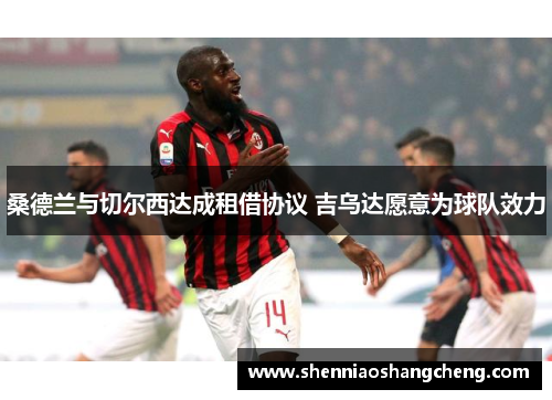 桑德兰与切尔西达成租借协议 吉乌达愿意为球队效力