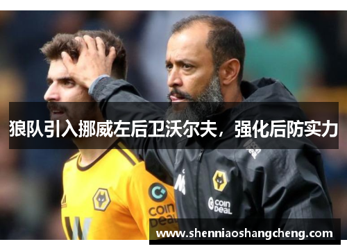 狼队引入挪威左后卫沃尔夫，强化后防实力