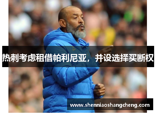 热刺考虑租借帕利尼亚，并设选择买断权