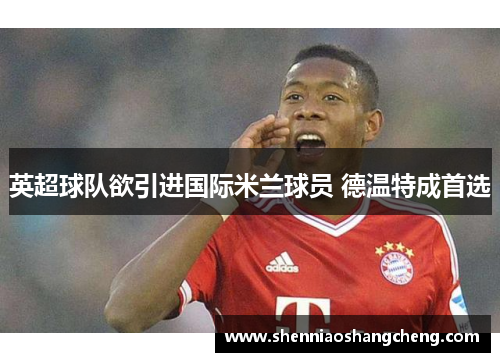 英超球队欲引进国际米兰球员 德温特成首选