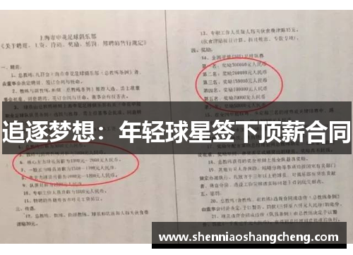追逐梦想：年轻球星签下顶薪合同